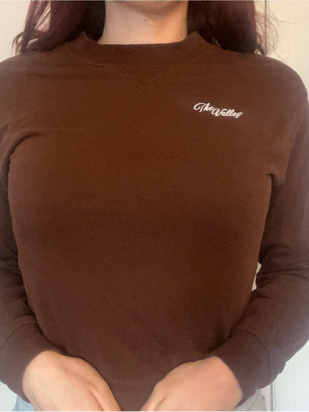 H&M Brown 70s inspired Crewneck Sweatshirt